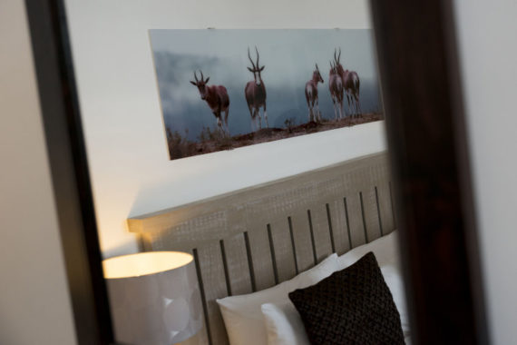 Storm Ground Floor Suite